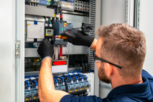 Best Electrical System Inspection  in Dewitt, MI