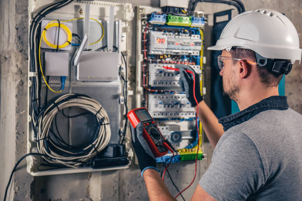 Best Electrical System Inspection  in Dewitt, MI
