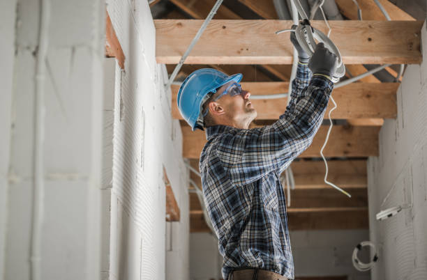 Best Generator Installation Services  in Dewitt, MI