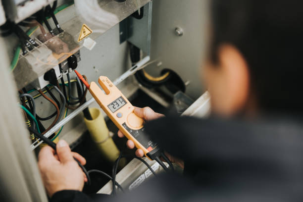Best Affordable Electrician  in Dewitt, MI