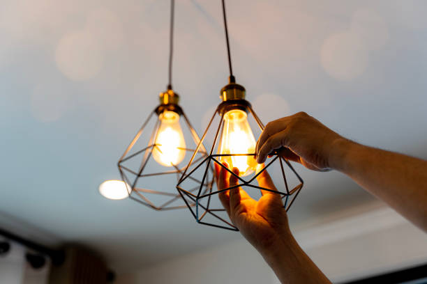 Best Electrical Installation Contractor  in Dewitt, MI