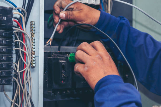 Best Affordable Electrical Installation  in Dewitt, MI