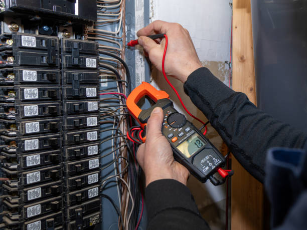 Best Local Electrician Companies  in Dewitt, MI