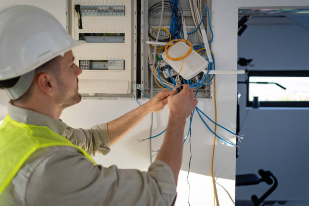 Best Affordable Emergency Electrician  in Dewitt, MI